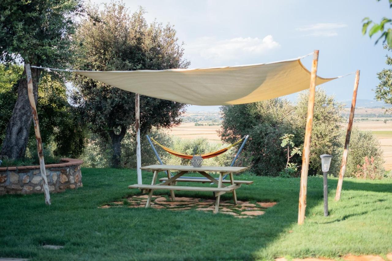 Agriturismo I Grappoli Alberese Ngoại thất bức ảnh